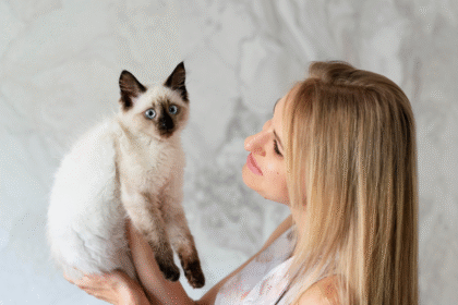 the Ragdoll Cat Price