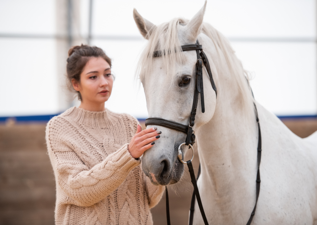 Arabian Horses for Sale