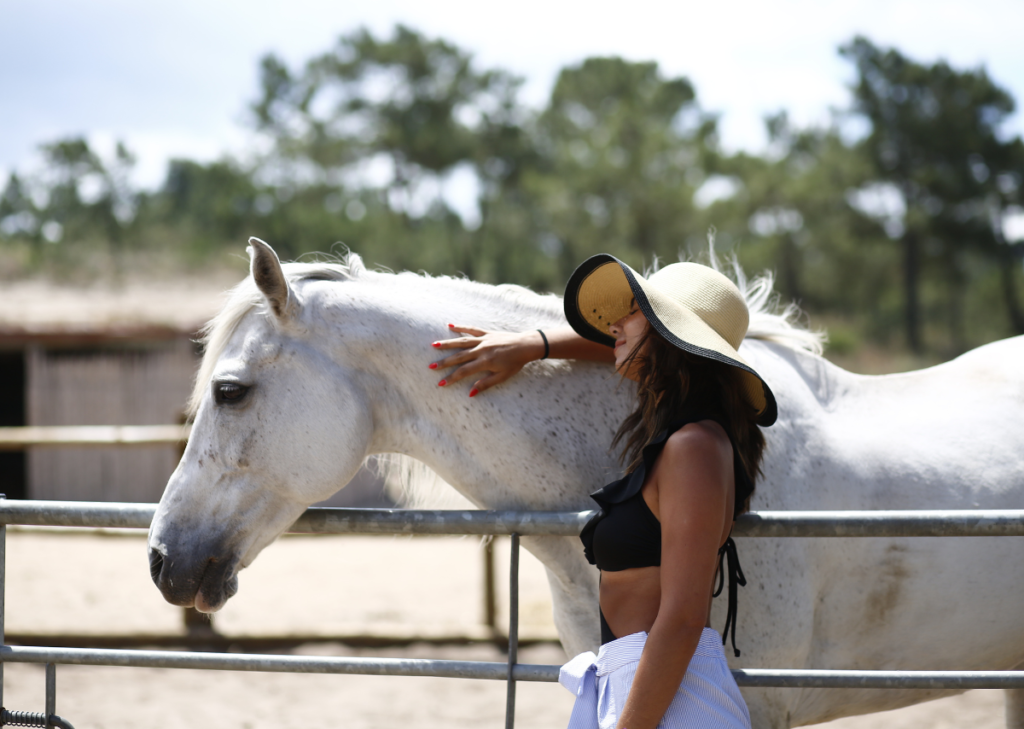 Arabian Horses for Sale